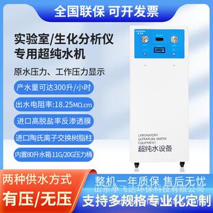 车间实验室超纯水机检验科分析仪器配套用制水机反渗透全自动
