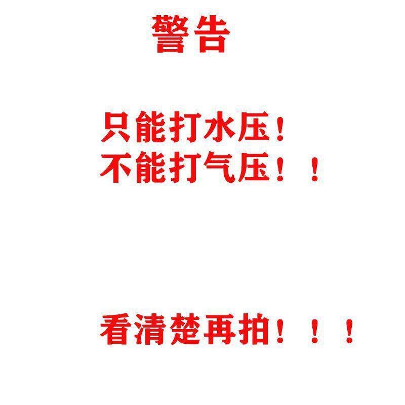 BM-S2手提式小型管道试压泵电动高压PPR水管地暖打压泵洗车机X20