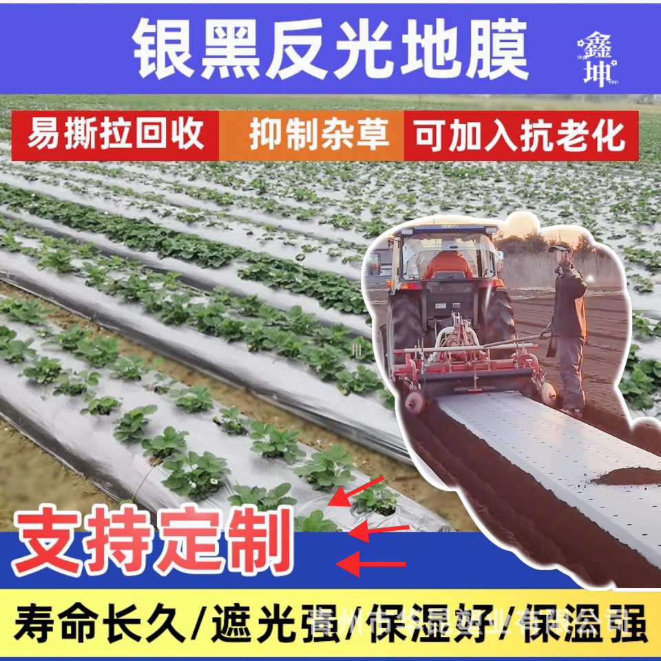 银黑打孔地膜有孔双色地膜多功能膜农用塑料薄膜防草种植地膜厂家