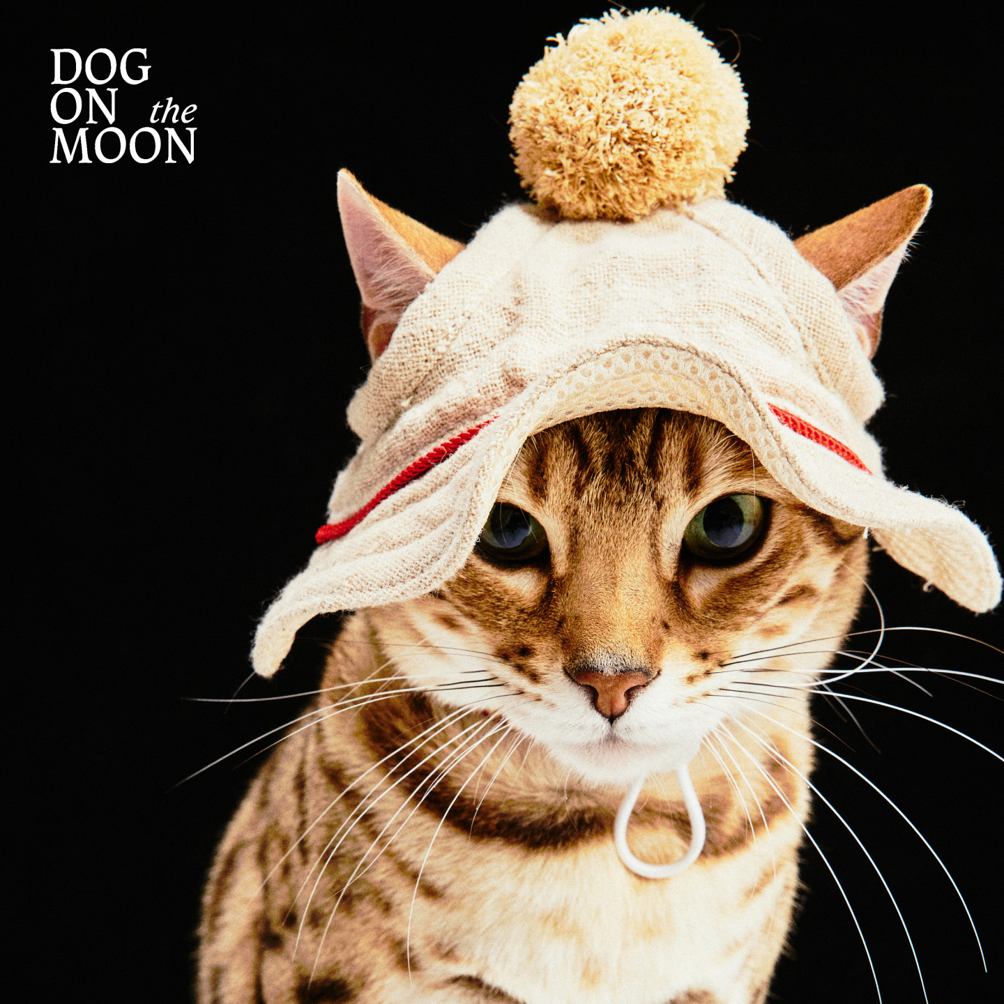 DOG ON THE MOON帽子