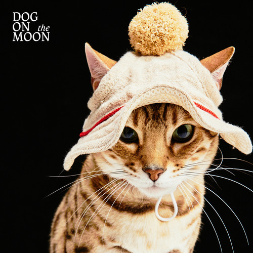 DOG ON THE MOON 度假风亚麻宠物猫狗遮阳帽阿比豹猫腊肠灵缇