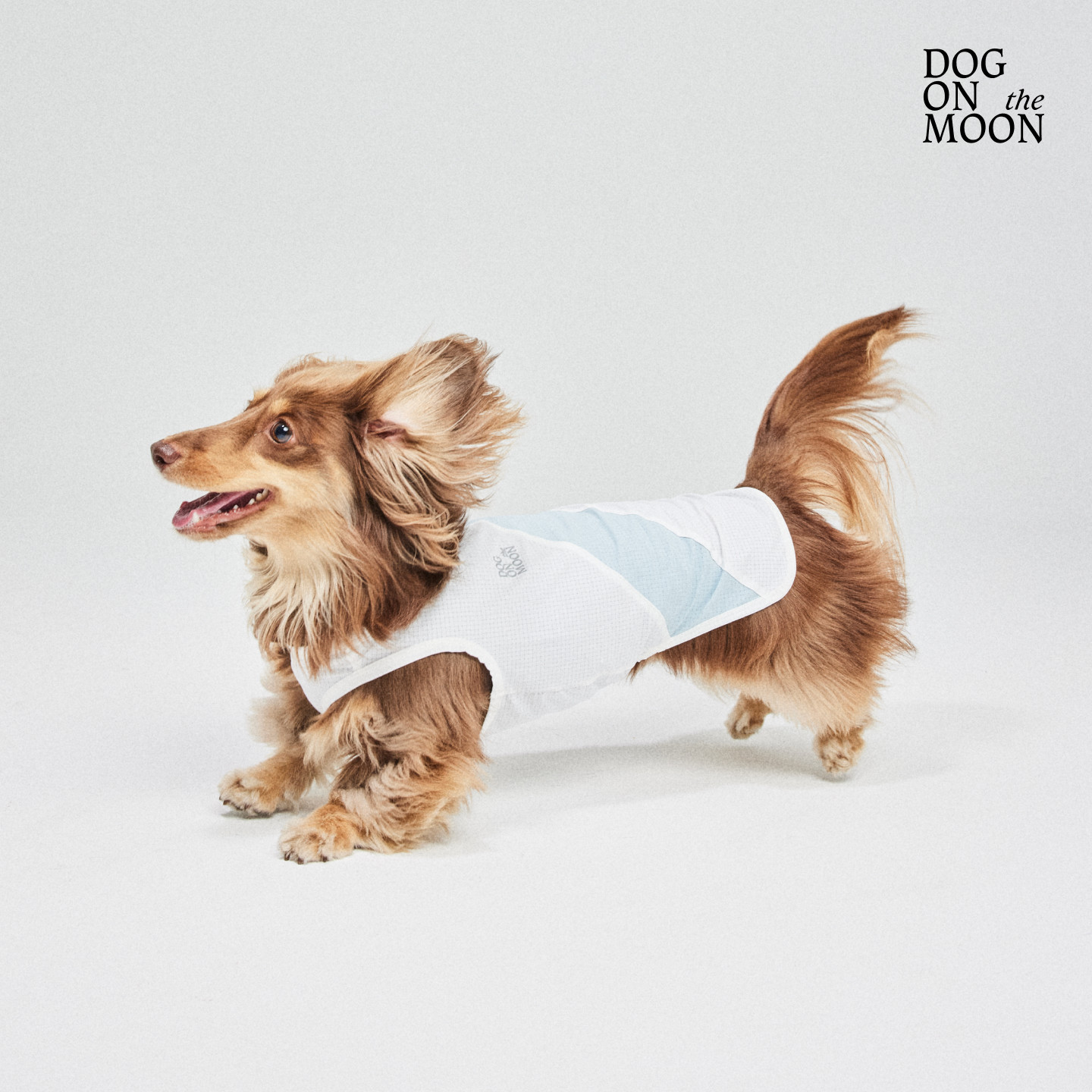 DOG ON THE MOON狗宠物服装/雨衣