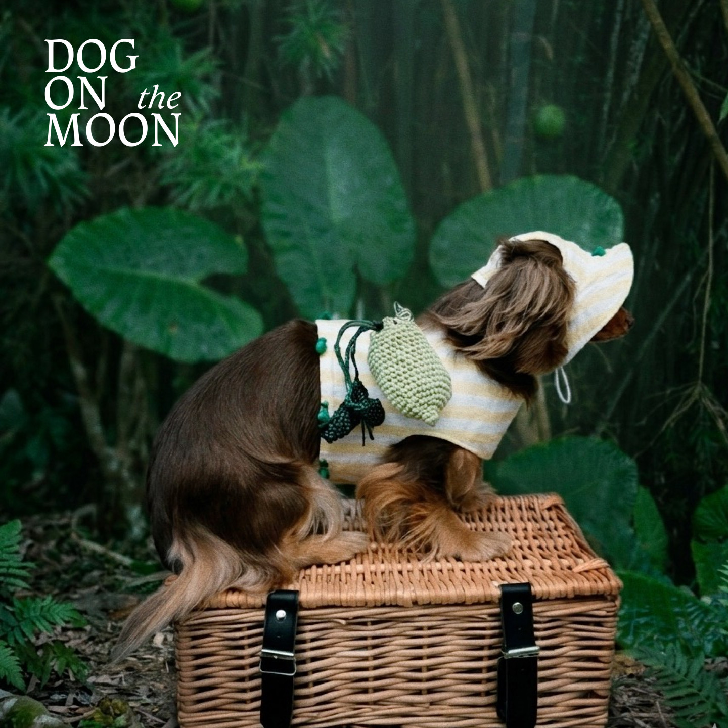 DOG ON THE MOON亚麻度假系列宠物猫腊肠小灵缇西高地胸背遮阳帽