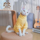 2023年秋季 加厚保暖无毛猫德文宠物猫纯棉衣服休闲打底四脚包肚衣