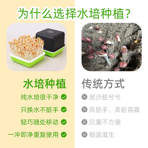 花生芽水培箱种植盘发芽神器机豆芽菜发芽盆专用育苗盘盒新鲜家用