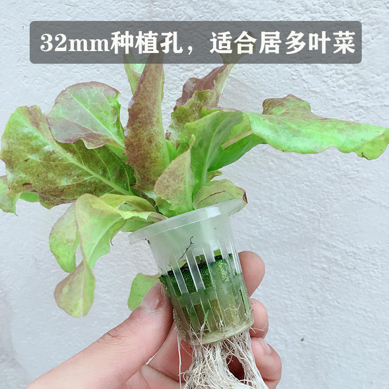 无土栽培设备家庭阳台管道式水培种植机自动水耕蔬菜系统多层花架