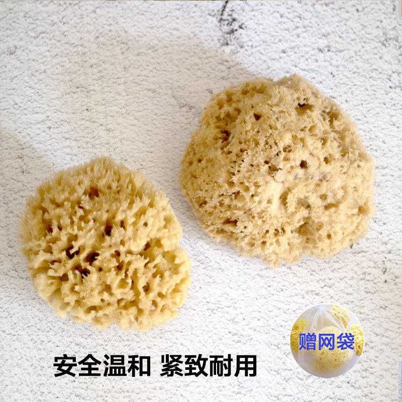 原色天然蜂窝海绵婴幼儿童成人孕妇宝宝沐浴洗澡按摩大号高档不散