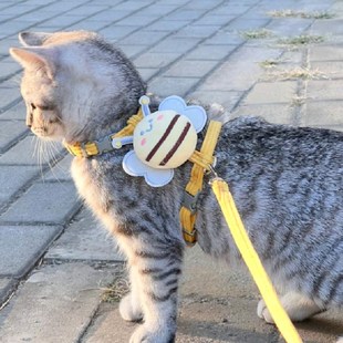 猫咪蜜蜂牵引绳外出防脱工字可调节宠物专用布偶泰迪小型犬牵引绳