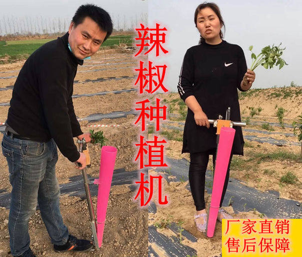 栽苗器秒栽蔬菜瓜苗辣椒种植器移栽种苗种菜农业栽神器耕种机械
