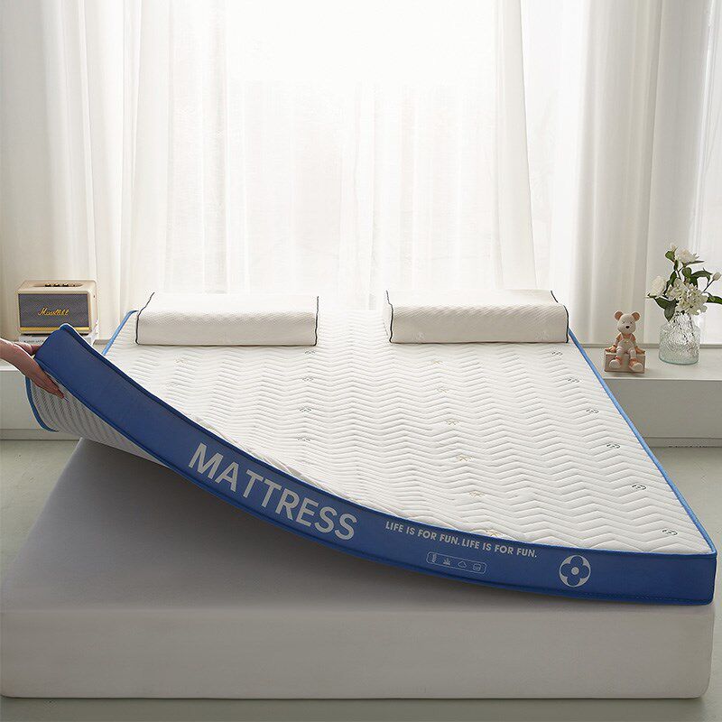 乳胶床垫软垫家用记忆棉卧室高密度学生宿舍单人榻榻米海绵垫褥子