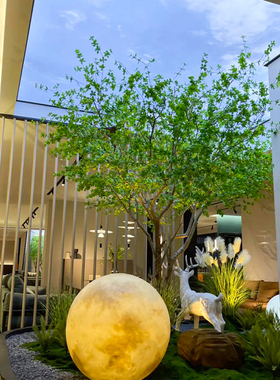 好货仿真吊钟树景观室内外北欧风摆件橱窗装饰马醉木大型绿植造景