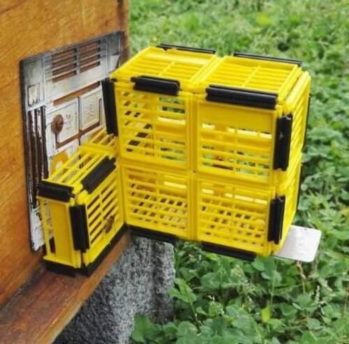 极速中蜂自动分蜂神器蜜蜂无人值守分蜂器收王器多功能蜂箱防逃跑