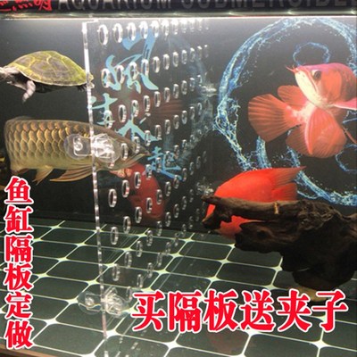 鱼缸隔离板隔板亚克力分隔挡板水族箱罗汉孔雀斗鱼苗分离器隔离网