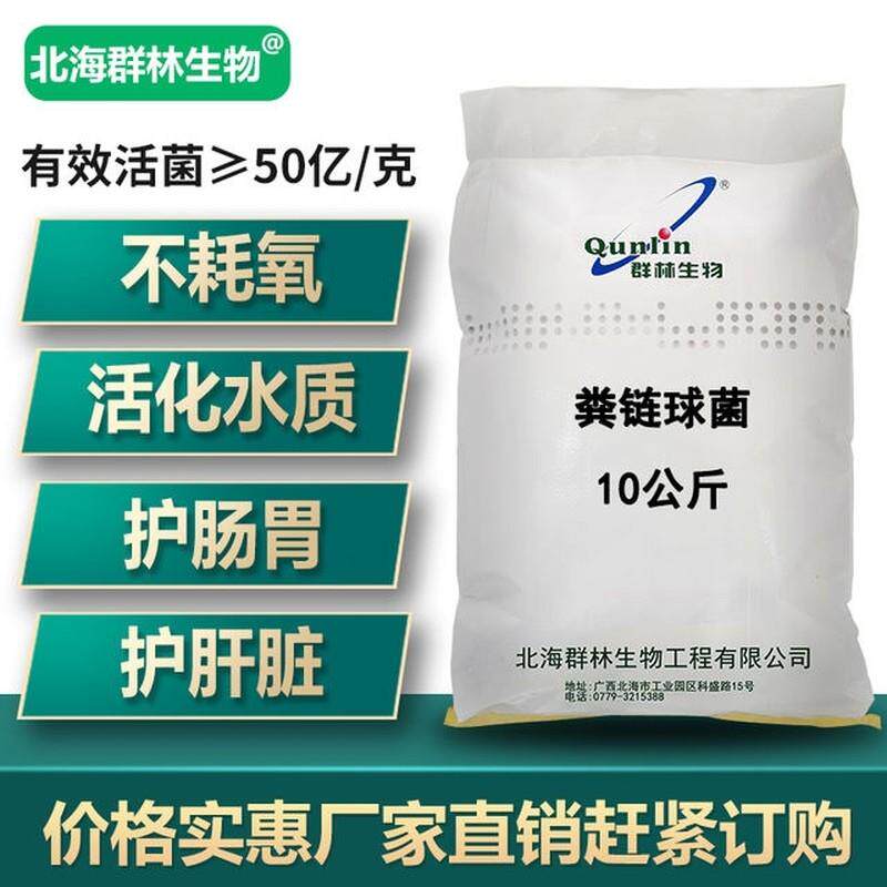 极速羣林乳酸菌粪链球菌水产养殖活水饲料添加剂微生物改善肠工厂