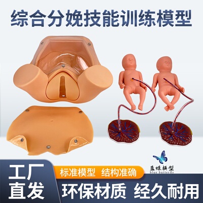 蓝蝶高级分娩综合技能训练教学