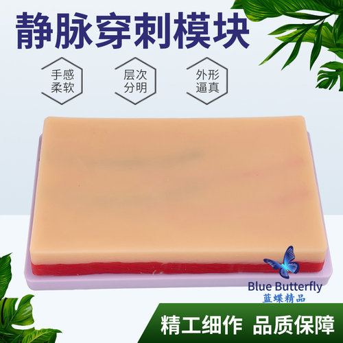 蓝蝶静脉注射穿刺模块教具