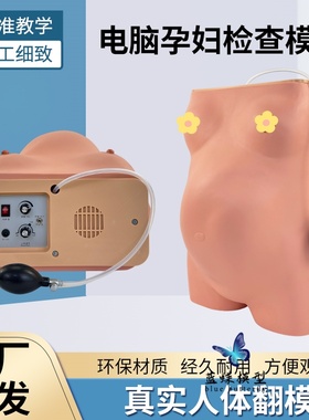 电脑孕妇检查模型 产科四步触诊法胎心音听诊训练 仿真骨盆测量