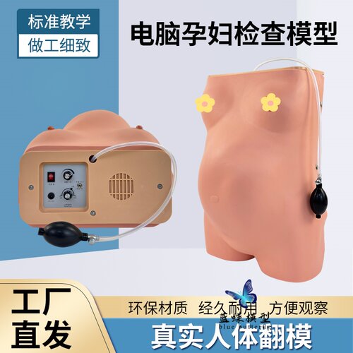 蓝蝶模型电脑孕妇检查模型