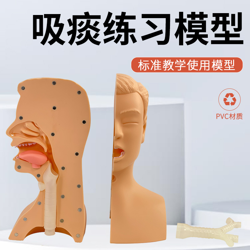 蓝蝶高级吸痰练习模型教学