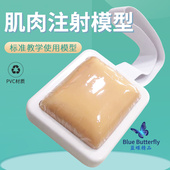 肌肉注射模块 穿刺教学练习皮下组织皮肤 护理训练肌肉注射模型