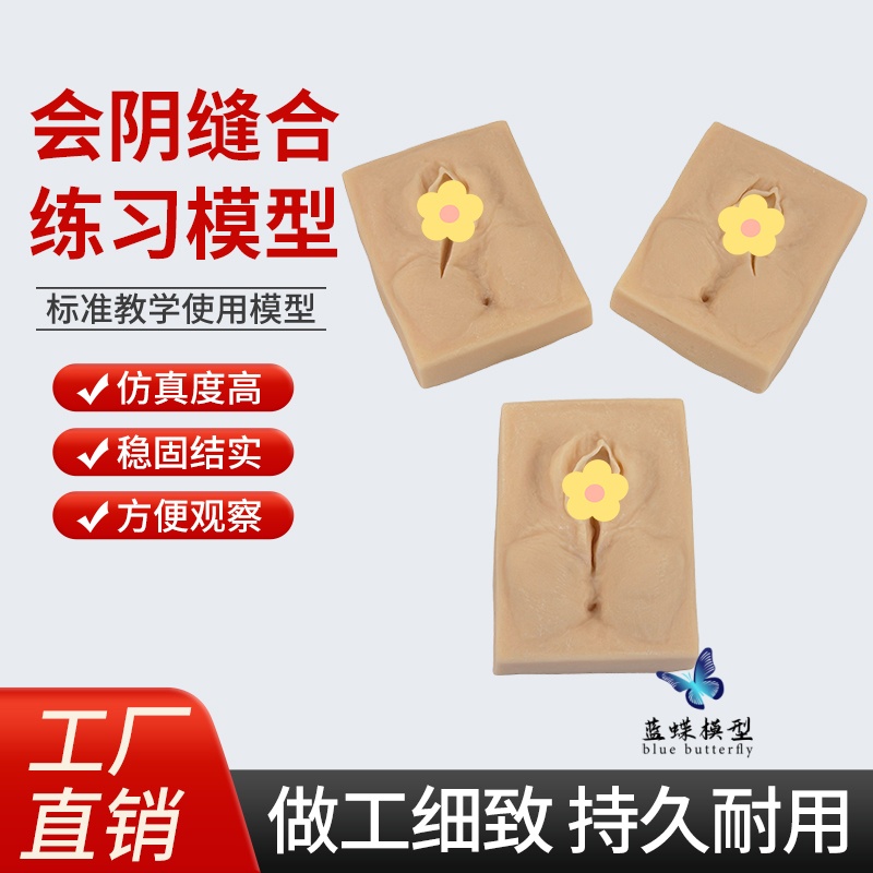 蓝蝶模型会阴缝合训练模块