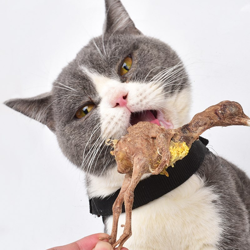 宠物狗狗猫咪零食桶装冻干小鸡仔补钙营养泰迪金毛狗犬磨牙