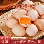 武安太行山散养五谷喂养现捡现发蛋黄饱满高营养 土鸡蛋 30枚