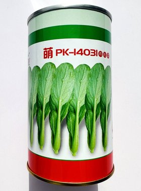 微萌PK-14031鸡毛菜种子耐热耐湿速生鸡毛菜种籽农家春夏秋季播种