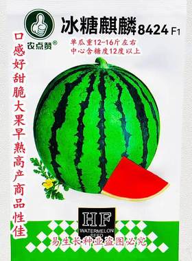 农点赞冰糖麒麟8424西瓜种子口感好甜脆大果早熟高产商品性佳春播