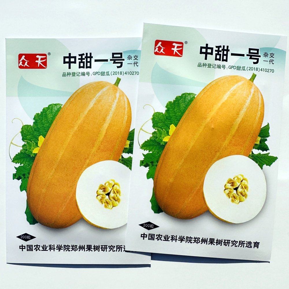 中甜一号甜瓜种子早熟厚皮椭圆形黄皮香瓜种籽大田基地播水果种孑