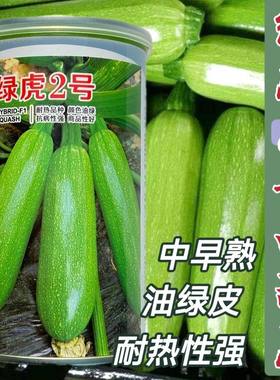 绿虎2号西葫芦种子油绿皮高产早中熟耐热性强占瓜抗病蔬菜种籽