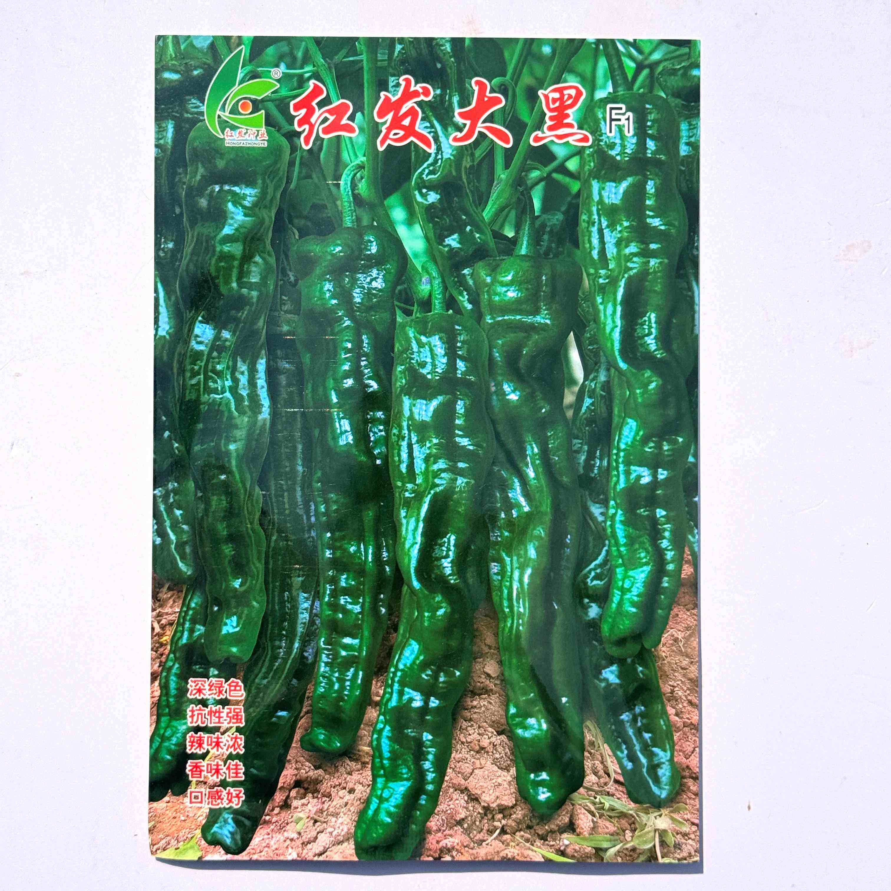 红发大黑薄皮皱皮辣椒种子质脆味辣皮黑绿色早熟羊角型皱皮椒种子