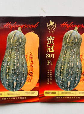 蜜冠801南瓜种子杂交一代南瓜种籽橙红色肉质面甜蜜本南瓜种孑