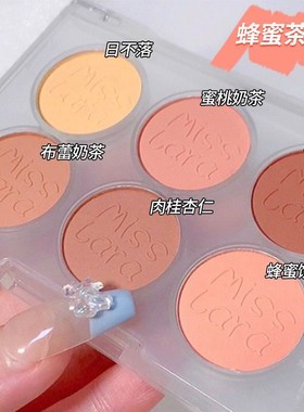 6-Color Blush Makeup Palette Long-lasting Matte Pearl