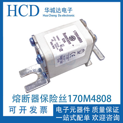 熔断器保险丝170M4806 4807 4808 4809 4810 4811 4812 4813 4814