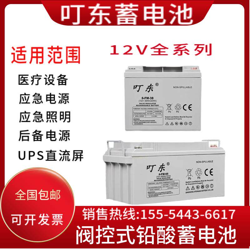 叮东蓄电池6-FM-65/12蓄电池