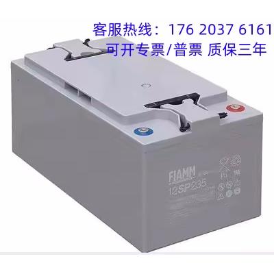 非凡FIAMM蓄电池12SPX205 直流屏12V205AH 太阳能路灯UPS/EPS风能