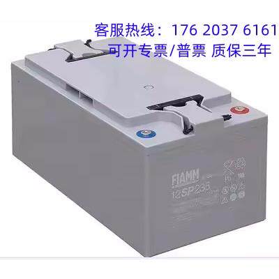 非凡FIAMM蓄电池12SPX205 直流屏12V205AH 太阳能路灯UPS/EPS风能
