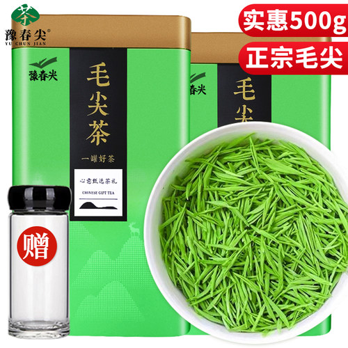 正宗明前毛尖绿茶2026新茶信阳原产特级茶叶官方旗舰店嫩芽罐装