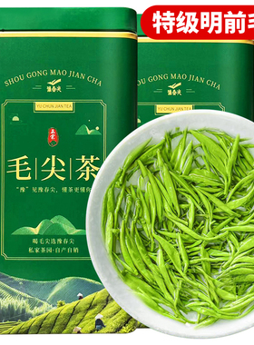 毛尖茶2025新茶明前绿茶特级浓香型毛尖茶叶高端罐装送长辈领导