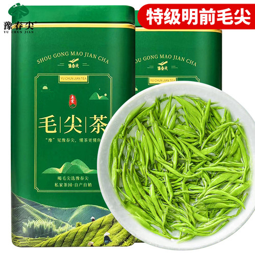 明前嫩芽毛尖罐装