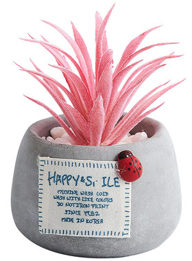 北欧ins仿真多肉小盆栽创意可爱家居客厅办公室好物桌面装饰摆件