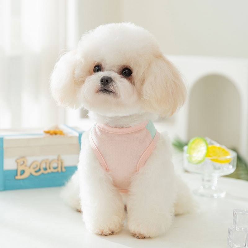 狗狗凉凉衣宠物夏天衣服小狗泰迪比熊小型犬蝴蝶防晒凉凉牵引背心