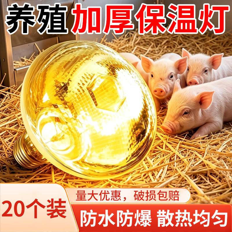 猪博士养殖保温灯泡猪用保温灯取暖灯泡猪舍猪场加热保温灯烤灯