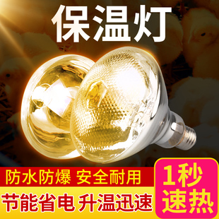 保温灯养殖场专用保温灯取暖灯猪场专用加温加热灯泡小鸡育雏烤灯