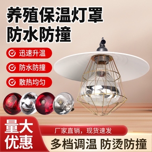 保温灯养殖专用加热保温取暖灯罩小鸡猪场加热烤灯保暖灯泡套装