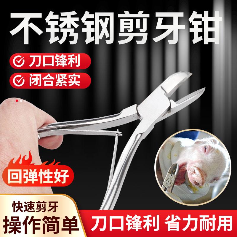 小猪剪牙钳兽用不锈钢断牙钳