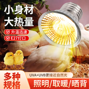 保温灯芦丁鸡饲养箱取暖灯鹦鹉专用养殖保暖灯小鸡育雏加热灯泡