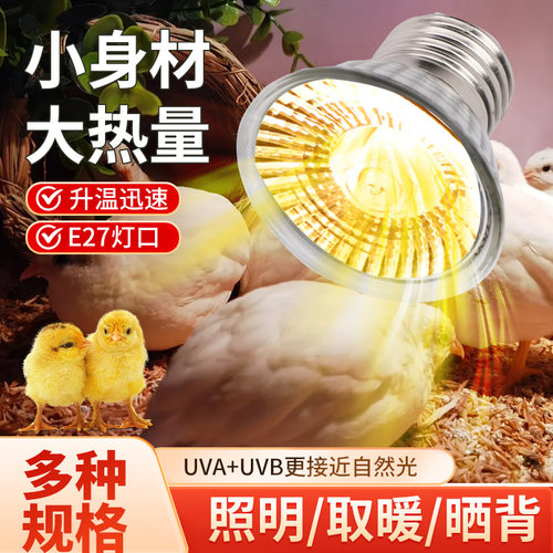 小鸡过冬育雏芦丁神器加热灯泡