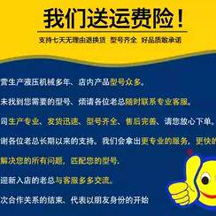 定制、邮费、补cha价链接 定制定金，订单全款、技术服务费